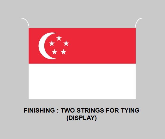 ASEAN Flags / Polyester Silk / Various Sizes