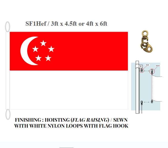 NDP 2025 SF1 | Singapore Flag | Polyester