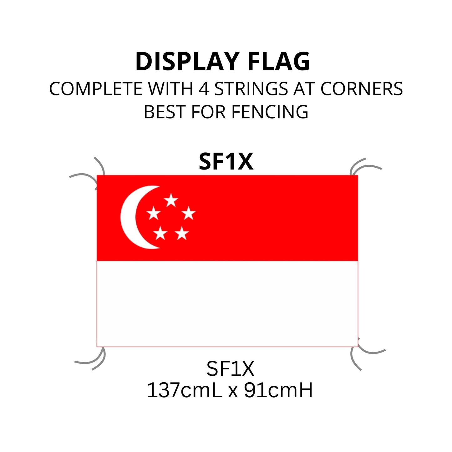2026 NDP | DISPLAY FLAG