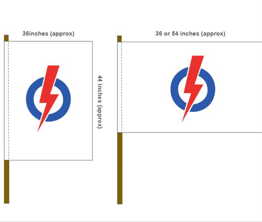 PAP Flags / People's Action Party Flag / Polyester