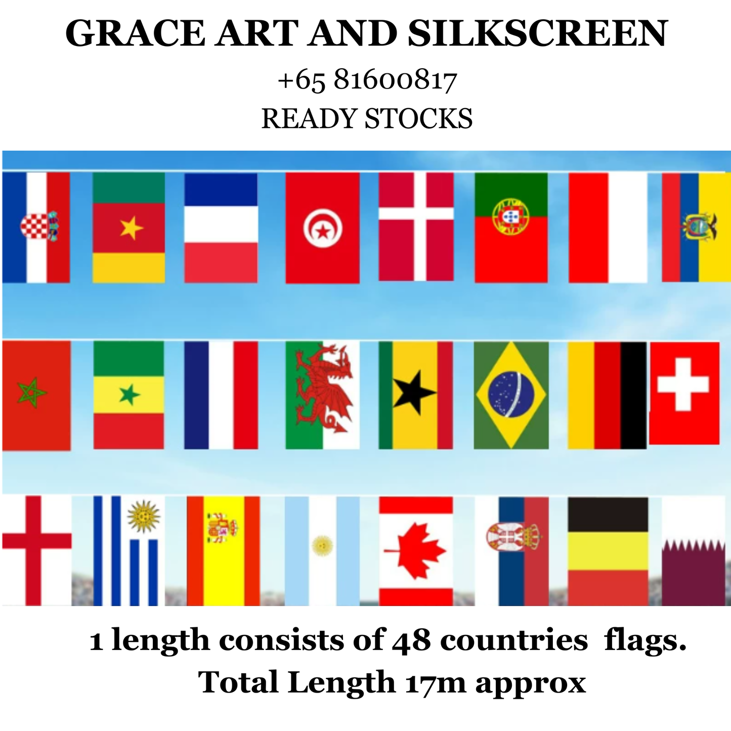 FIFA World Cup 48 Countries Flags