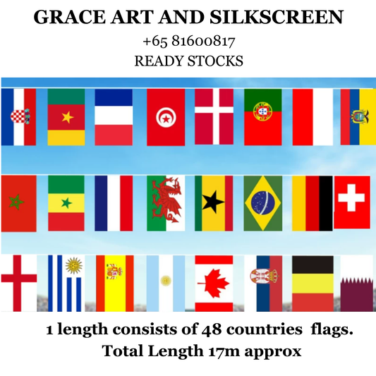 FIFA World Cup 48 Countries Flags